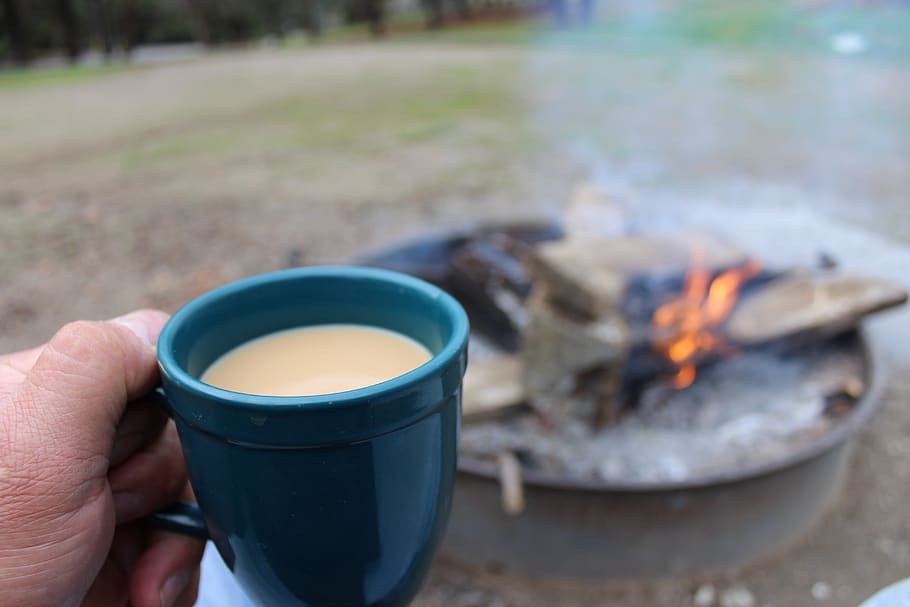 food, drink, hot, cup, wood, relaxation, heat, nature, outdoors, delicious