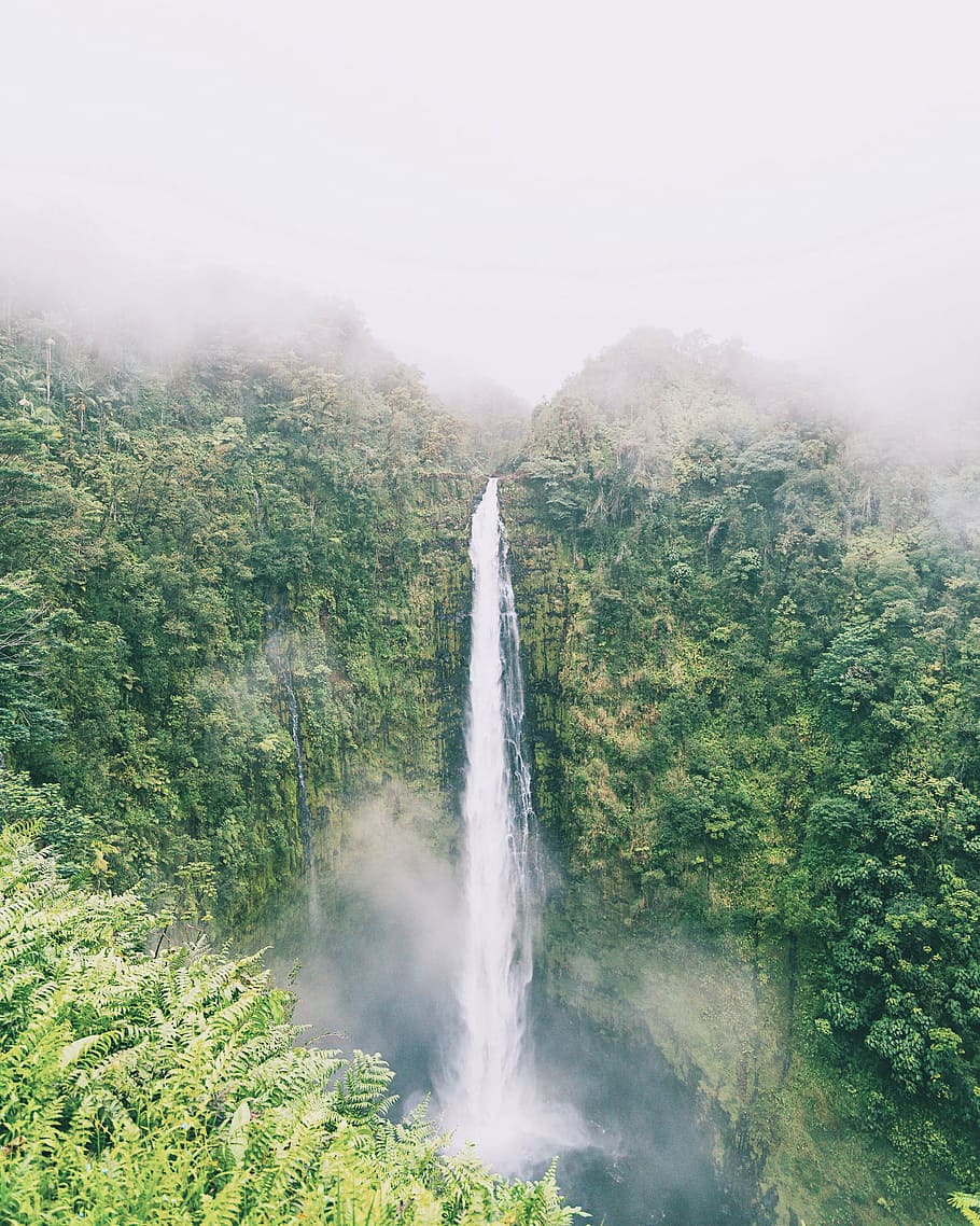 waterfalls, green, trees, foggy, sky, waterfall, nature, plant, mountain, hill