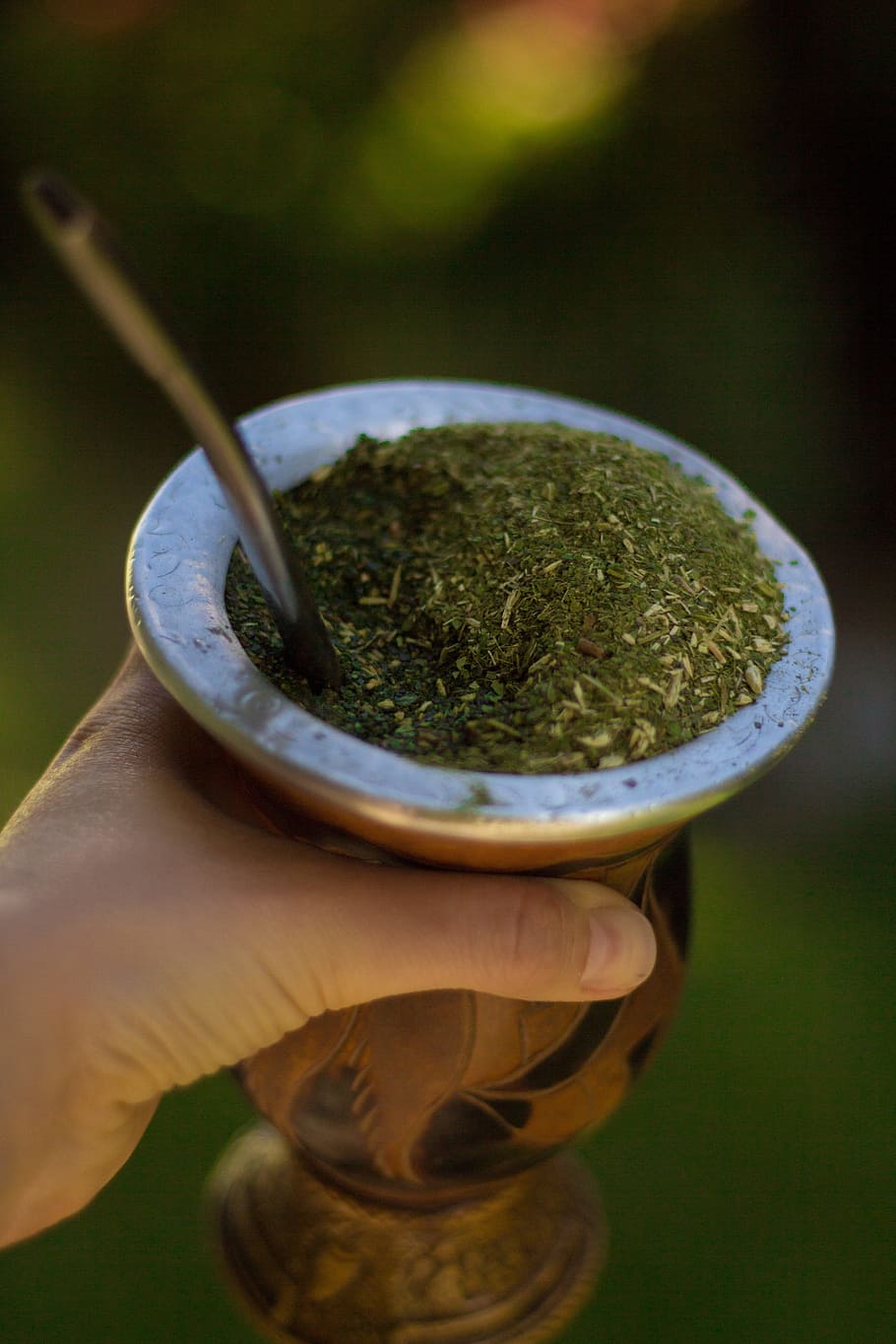 person, holding, stainless, steel cup, matcha, Chimarrão, Yerba Mate ...