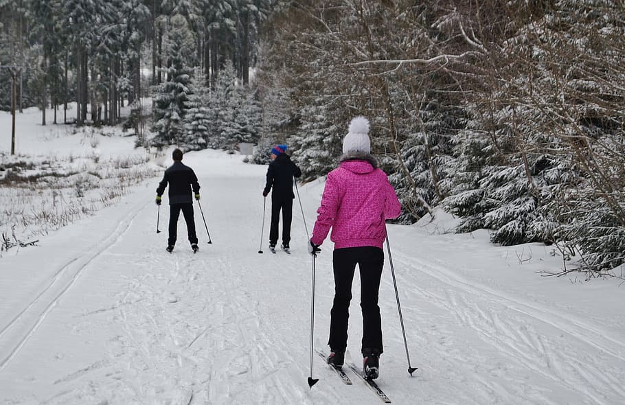 orang bermain ski, medan salju, musim dingin, gunung, salju, ski lintas-alam, olahraga, trek, olahraga musim dingin, ski