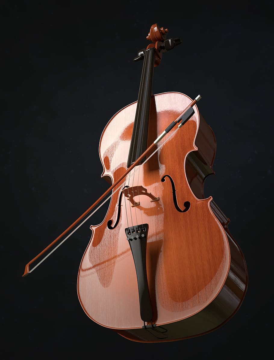 brown, black, violin, bow, cello, strings, stringed instrument, arch, wood, instrument