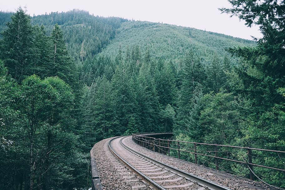 railroad, railway, train tracks, transportation, trees, leaves, branches, mountains, hills, nature