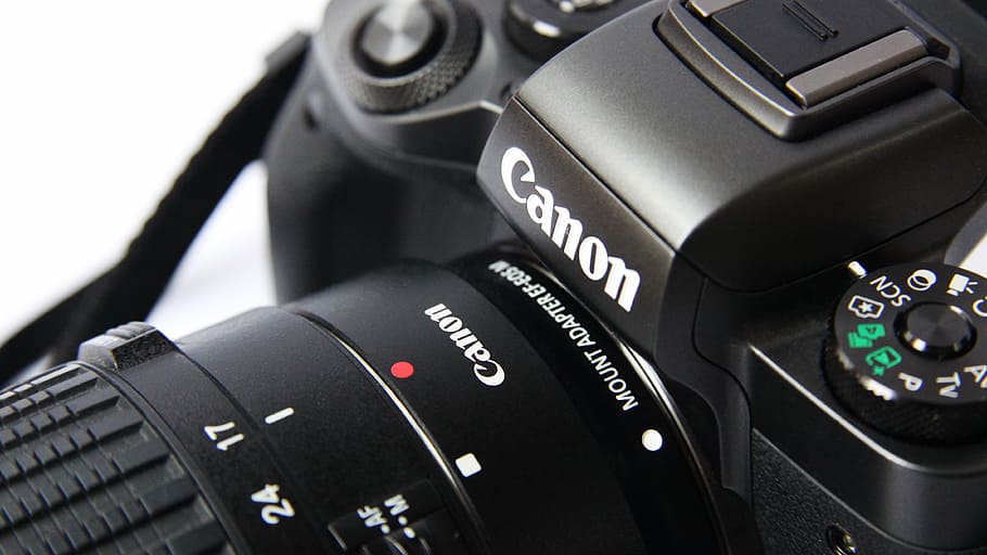 Fotografía macro, negro, cámara réflex digital Canon, cámara, fotografía, bokeh, lente, bokeh.lente, canon, obturador