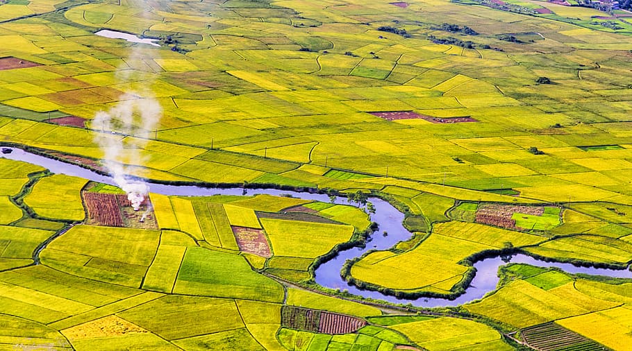 vietnam, landscape fields, aerial, green, agriculture, landscape, rural scene, environment, scenics - nature, nature