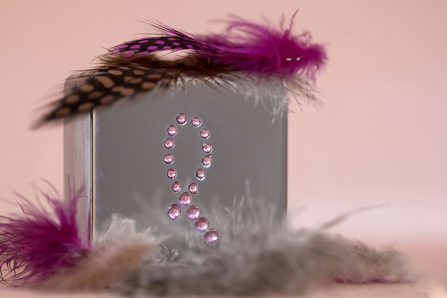 grey, purple, box, feathers, breast cancer, pink, breast cancer ribbon, ribbon, flower, plant