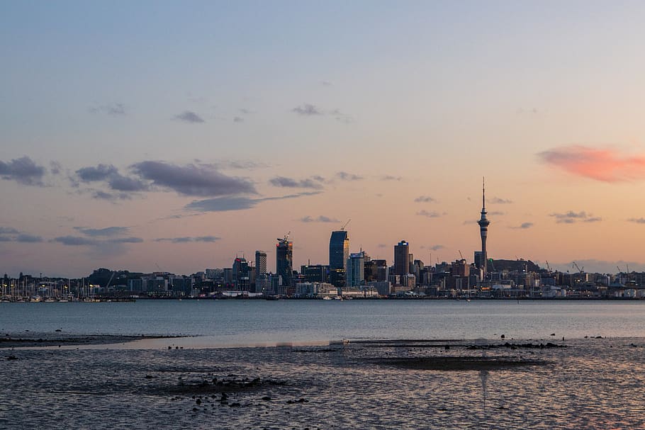 auckland, skyline, sunset, new zealand, city, tower, harbour, architecture, skyscrapers, sea