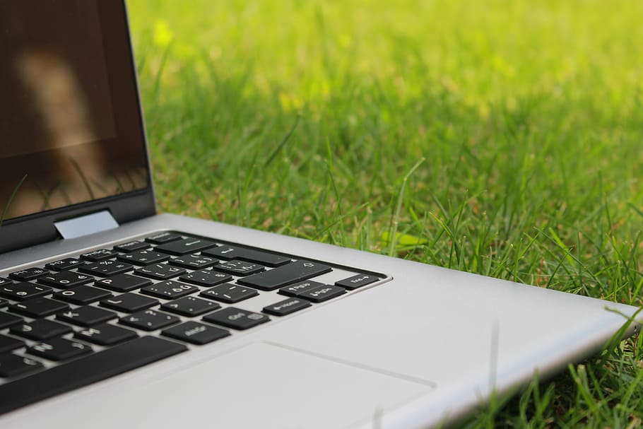 laptop, green, grass lawn, close, gray, computer, grass, outdoor, nature, macbook