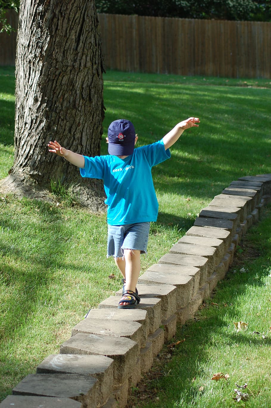 muro de piedra, niño, caminar, equilibrio, gorra, planta, infancia, una persona, tronco de árbol, árbol