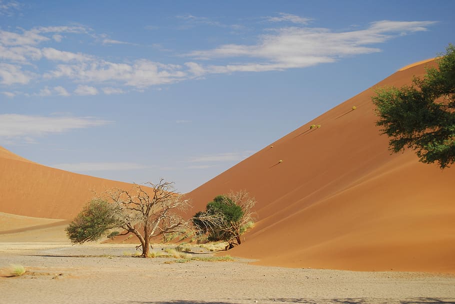 Namibia, Desierto, Arena, sossusflei, África, duna, sossusvlei, naturaleza, seco, arena de roter