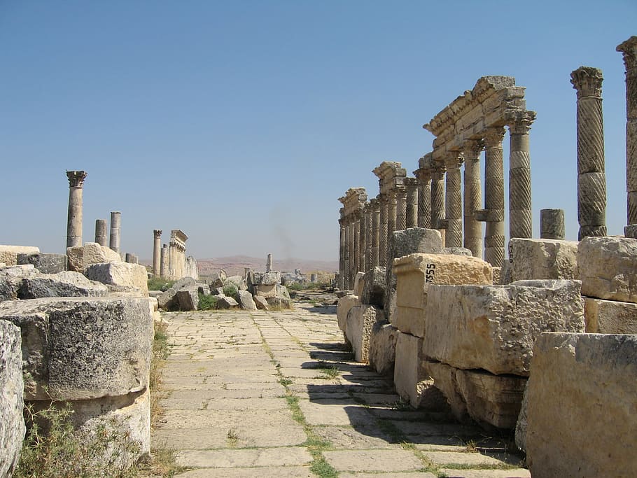 Cardo, Apamea, Siria, antigua ruina, historia, antigua, el pasado, arqueología, civilización antigua, arquitectura