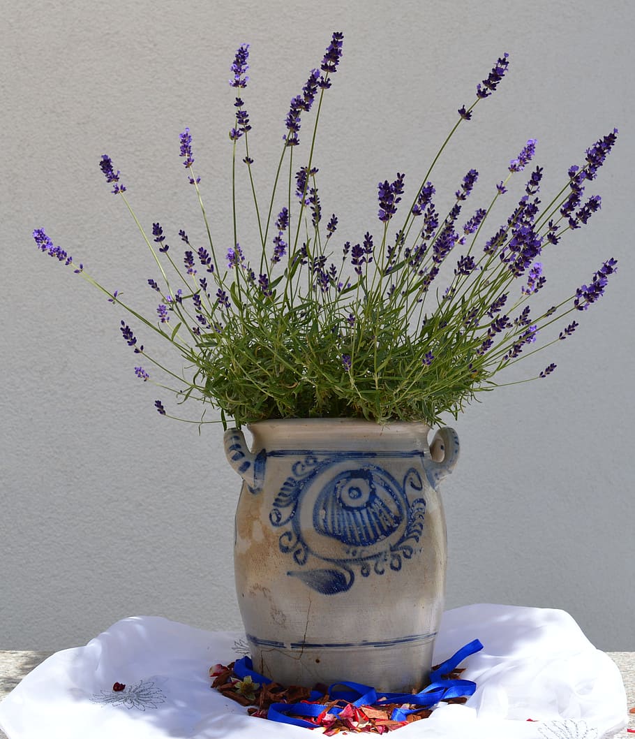 purple, flowers, brown, pot, Earthenware, Ceramic, Pot, ceramic, grey, blue, painted