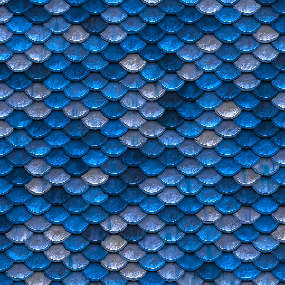 closeup, blue, gray, scale wallpaper, background image, scale, color, metallic, pattern, backgrounds