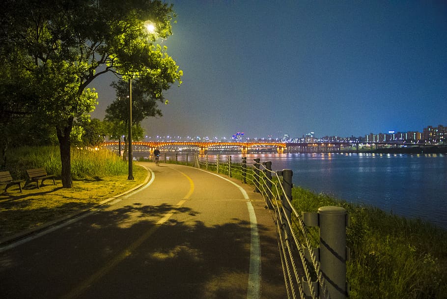 person, walking, road, trees, body, water, night time, han river, bike, republic of korea