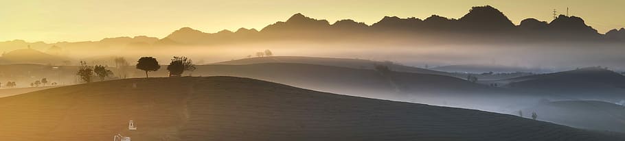 montanha durante o pôr do sol, panorâmica, fazenda, manhã, chá, geada, província, vietnã, moc chau, fantasiosa