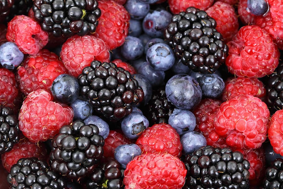 berbagai macam, berry, closeup, foto, latar belakang, memetik, blackberry, blueberry, makanan, hutan