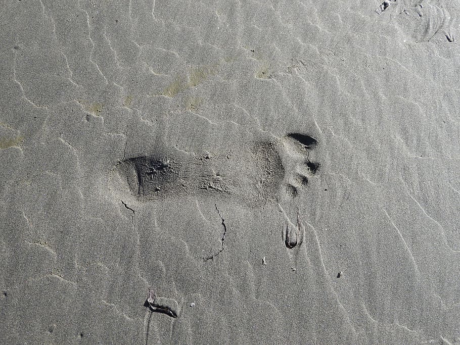 footprint, sand, beach, imprint, foot, print, land, high angle view, nature, day
