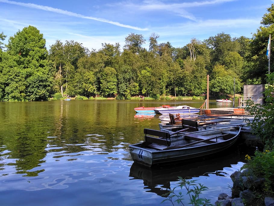 Darmstadt, Hesse, Alemania, Casa Oberwald, estanque Steinbrücker, estanque, lago, árboles, naturaleza, barcos