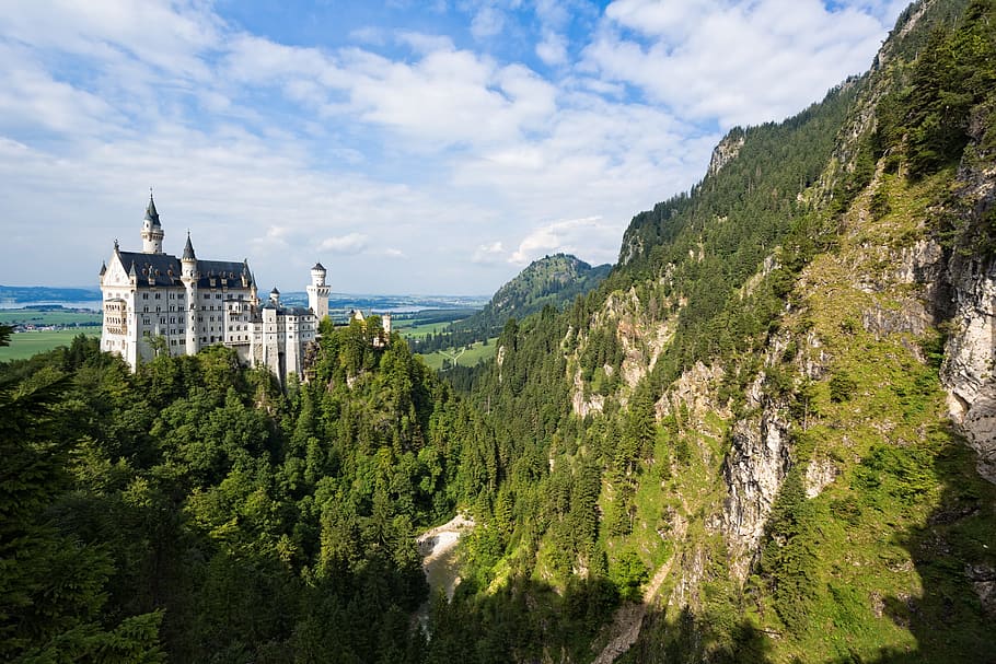 white, black, castle, surrounded, pine trees, neuschwanstein castle, bavaria, neuschwanstein, germany, fairytale