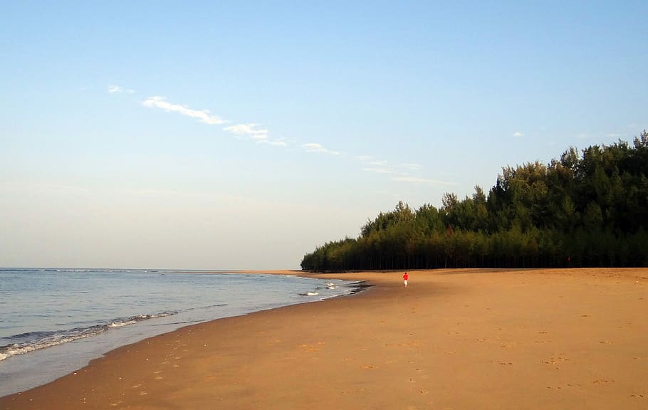 Sea Beach, Arabian Sea, Golden, Sand, golden sand, casuarina forest, karwar, india, sea, beach
