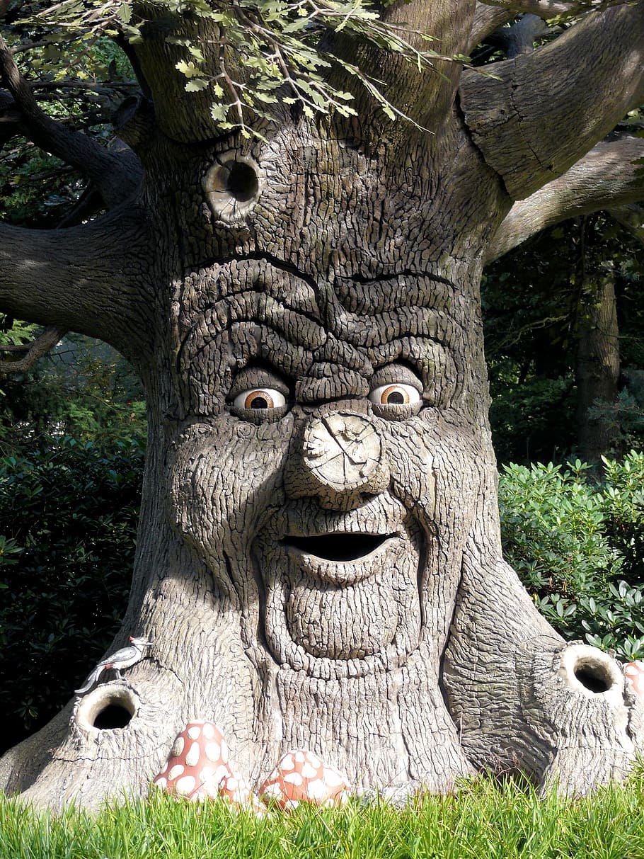 brown, tree, face artwork, efteling, enchanted forest, theme, face, character, plant, art and craft