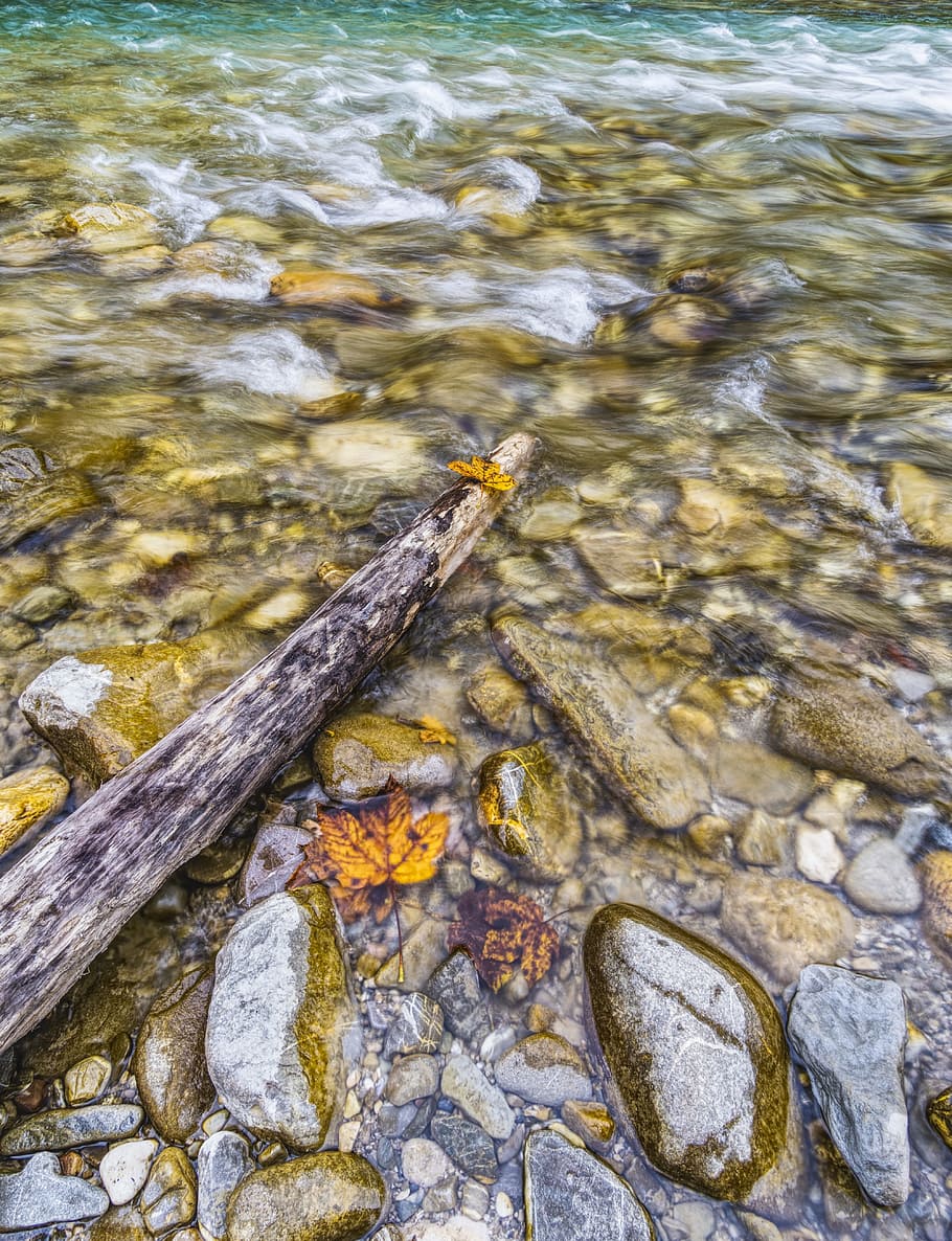 water, river, stones, wave, leaves, autumn, alpine, ammer, clear, cold
