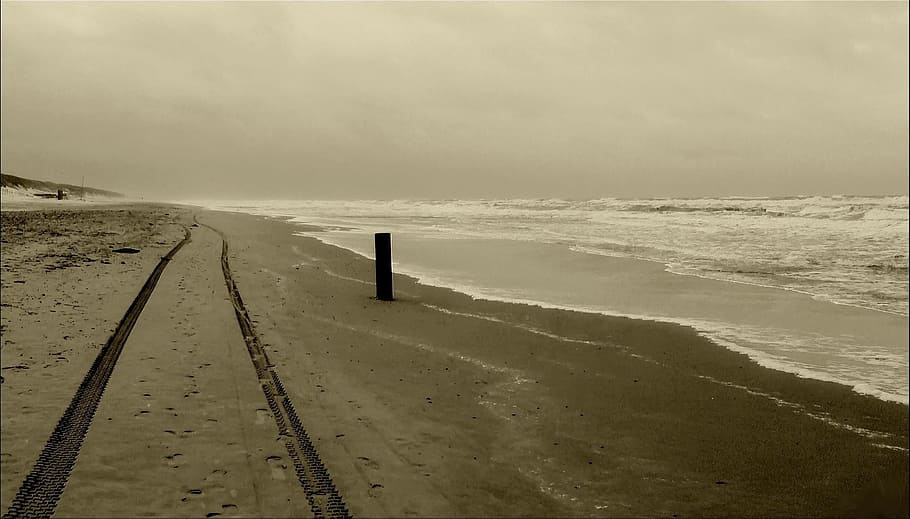 sepia, tone photography, seashore, beach, sand beach, sea, sand, coast, tire tracks, tracks in the sand