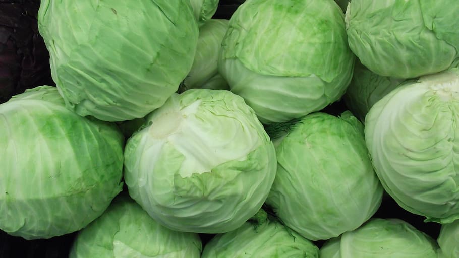 Green Cabbage, Vegetable, Food, cabbage, food and drink, green color, healthy eating, freshness, wellbeing, full frame
