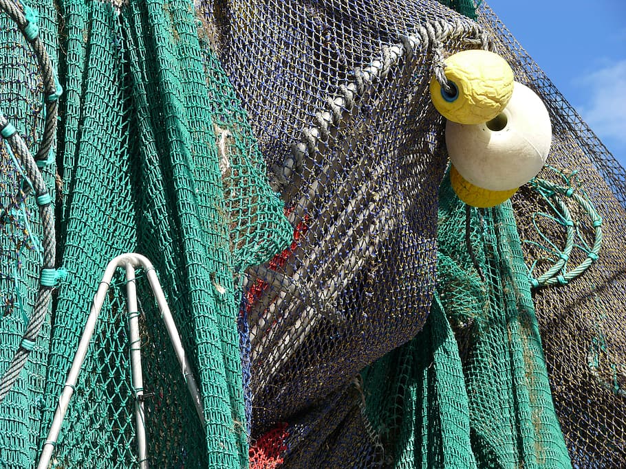 fishing net, fishing, net, fishnet, equipment, rope, sea, fish, fisherman, water