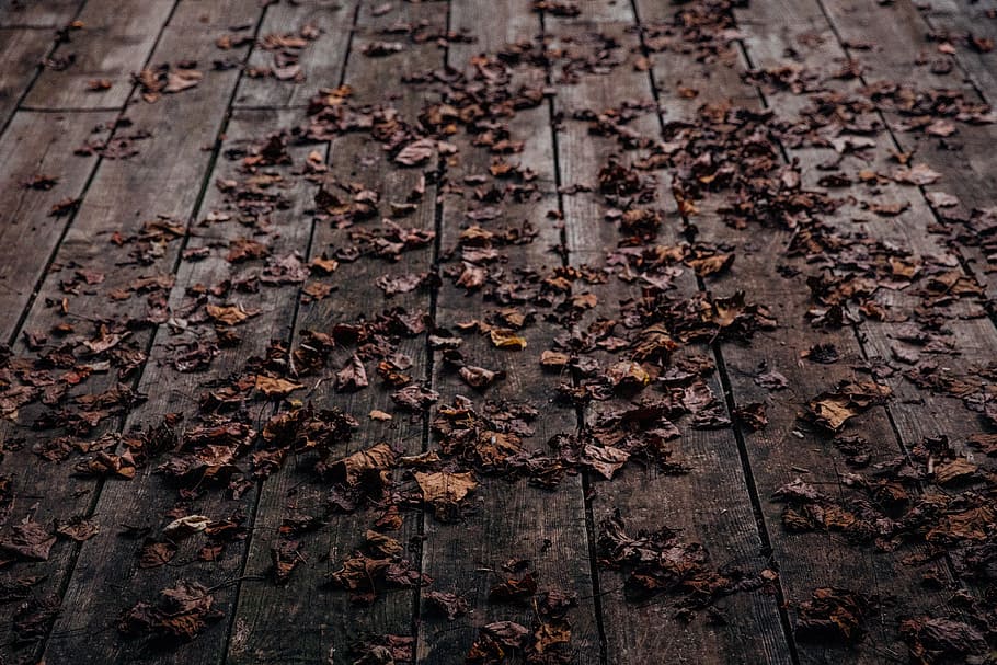 weathered, leaves, brown, wooden, pallet surface, dried, panel, leaf, fall, floor