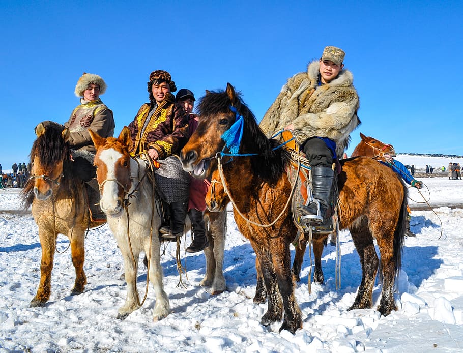 people riding horses, men, horsemen, rider, horse, male, riding, tradition, mongolia, winter