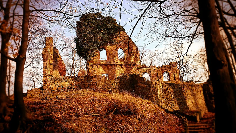 castelo, zamek, wałbrzych, walbrzych, silésia, arquitetura, árvore, história, velho, estrutura construída
