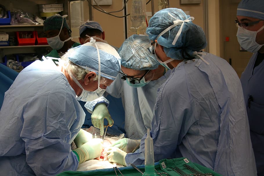 pessoas, dentro, operando, sala, cirurgia, doador, transplante, cuidados de saúde e medicina, médico, máscara cirúrgica