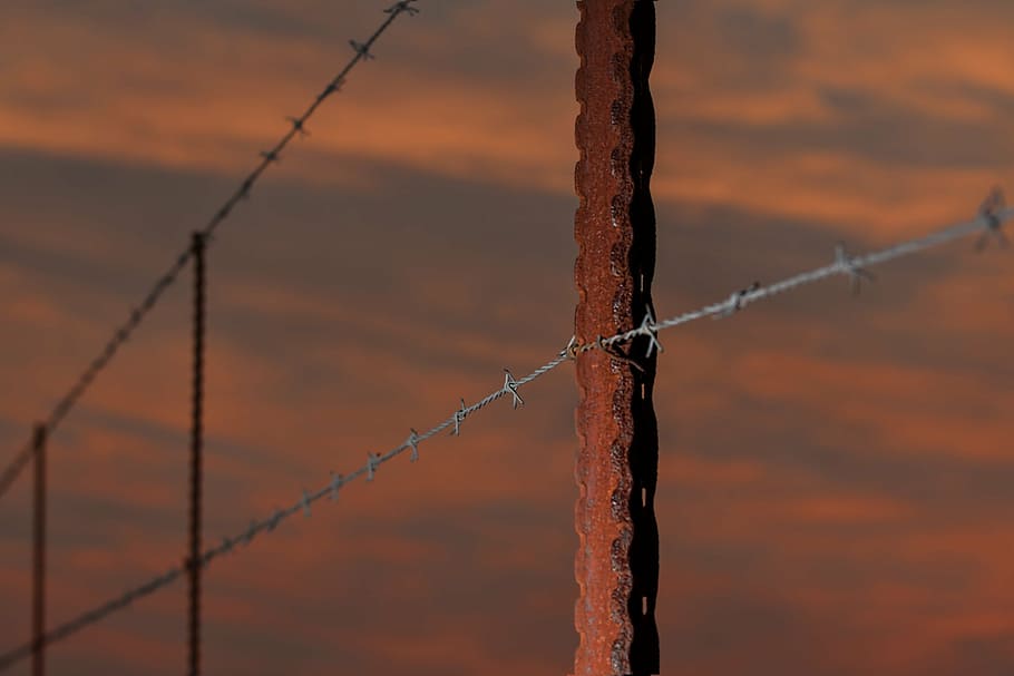 fence, barbed wire, fence post, rusty, sundown, sunset, barrier, barbwire, farm, enclosure