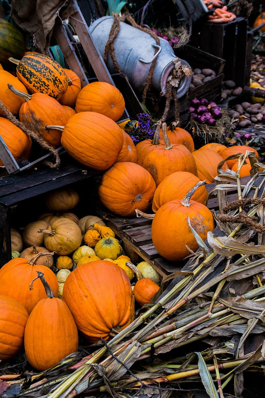 halloween, autumn, pumpkin, vegetable, orange Color, agriculture, food, thanksgiving, gourd, food and drink