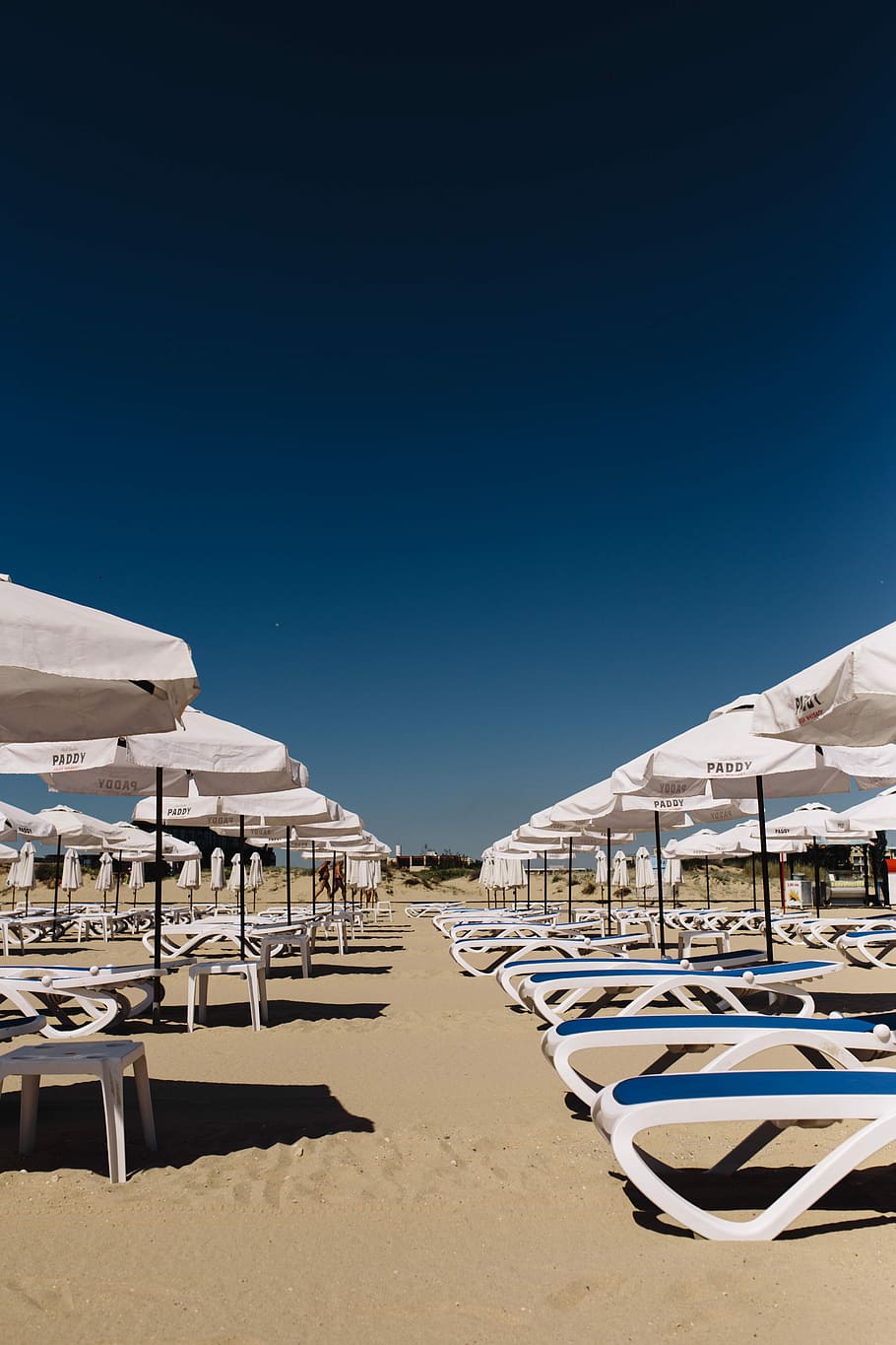 espreguiçadeiras, ensolarado, praia, guarda-chuvas, lounge, cadeiras, Sunny Beach, Bulgária, oceano, areia