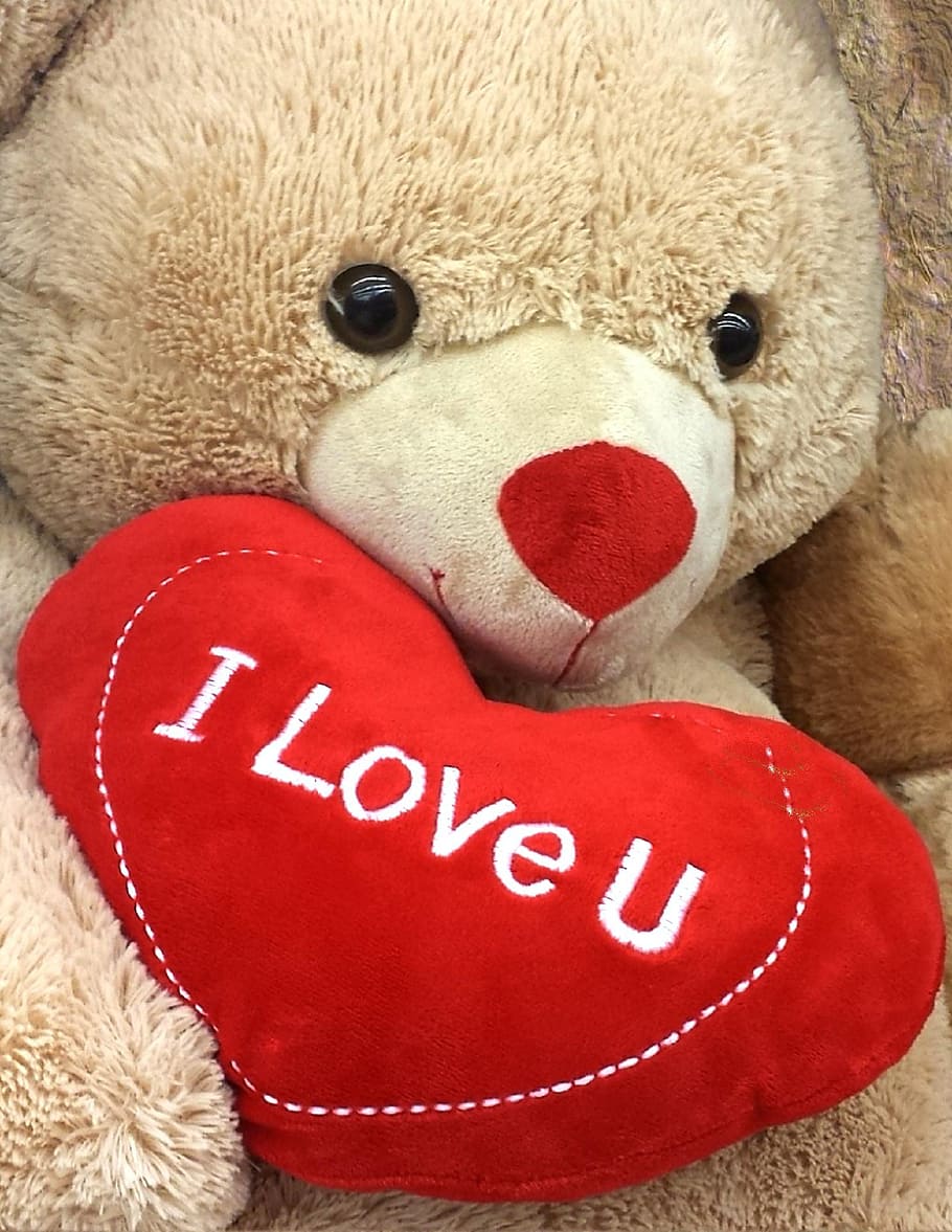 brown, bear, holding, i love, u, pillow, i love you, love, heart, red