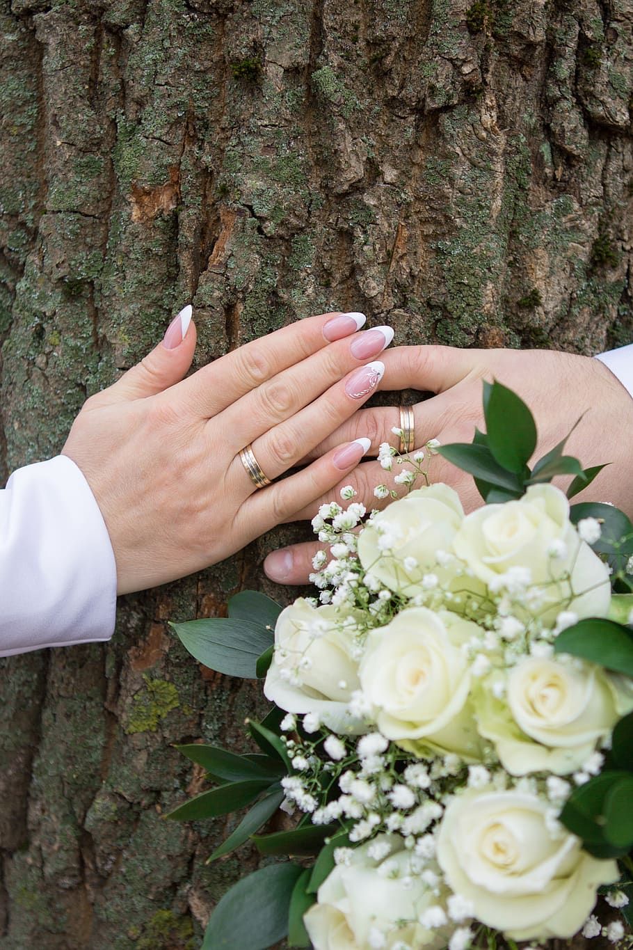 casamento, anéis, mãos, recém casado, amor, casal, mão humana, mão, flor, plantar