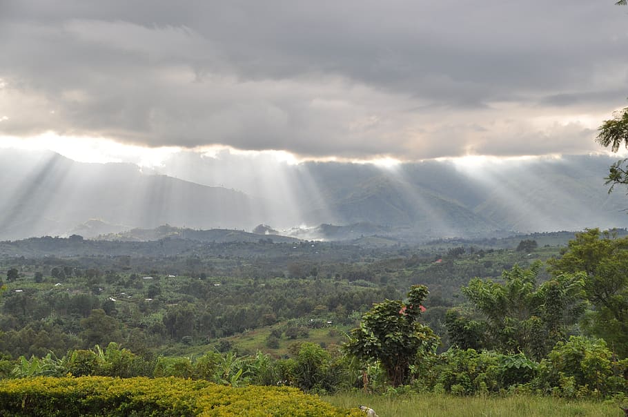 rwenzori, montanhas, fronteira, congo, uganda, montanhas da lua, nuvens, noite, pôr do sol, capa