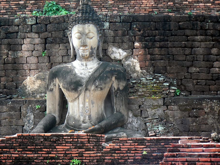 Thailand, Ayutthaya, Buddha, Ruins, old temple, religious, sanctuary, religion, statue, brick wall