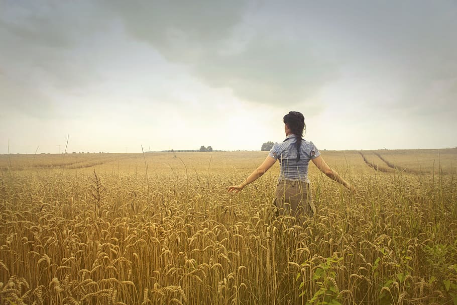 farm, field, woman, clouds, colors, nature, countryside, wheat, crops, daylight