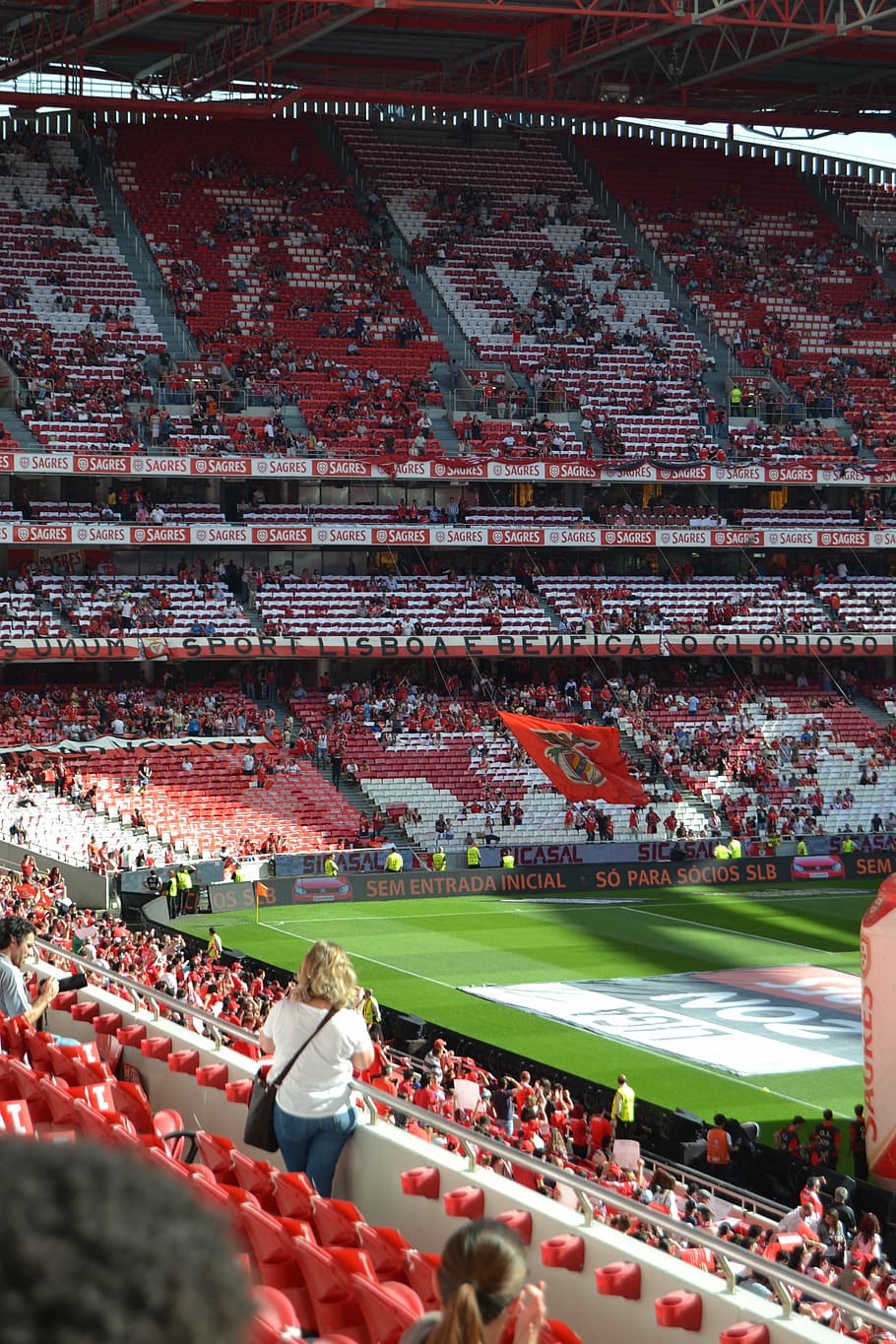 stadium of light, portugal, lisbon, slb, group of people, sport, crowd, stadium, spectator, real people - Pxfuel