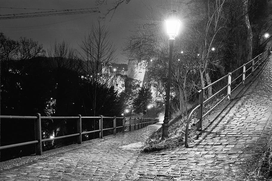 luxemburgo, parque, noche, luz, espaciador, linternas, 1999 negativ, nikon f90, árbol, calle