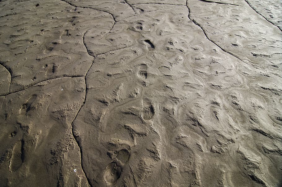mud, footprints, footprint, soil, steps, clay, muddy, foot, earth, ground