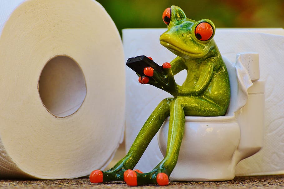frog, sitting, toilet, holding, phone figurine, loo, session, funny, toilet paper, wc