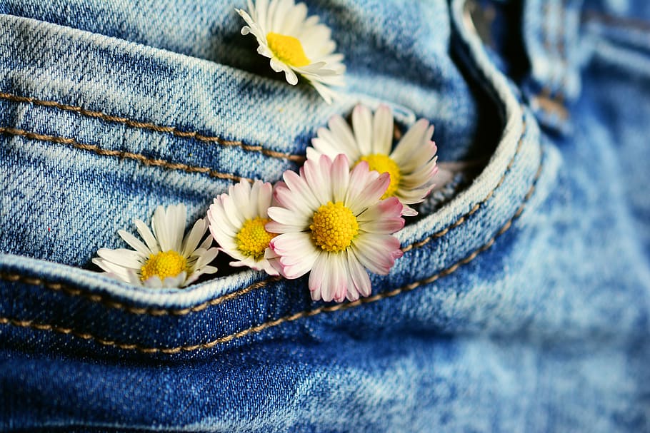 tilt shift lens photography, pink, white, flowers, pocket, daisy, jeans, textile, denim, greeting