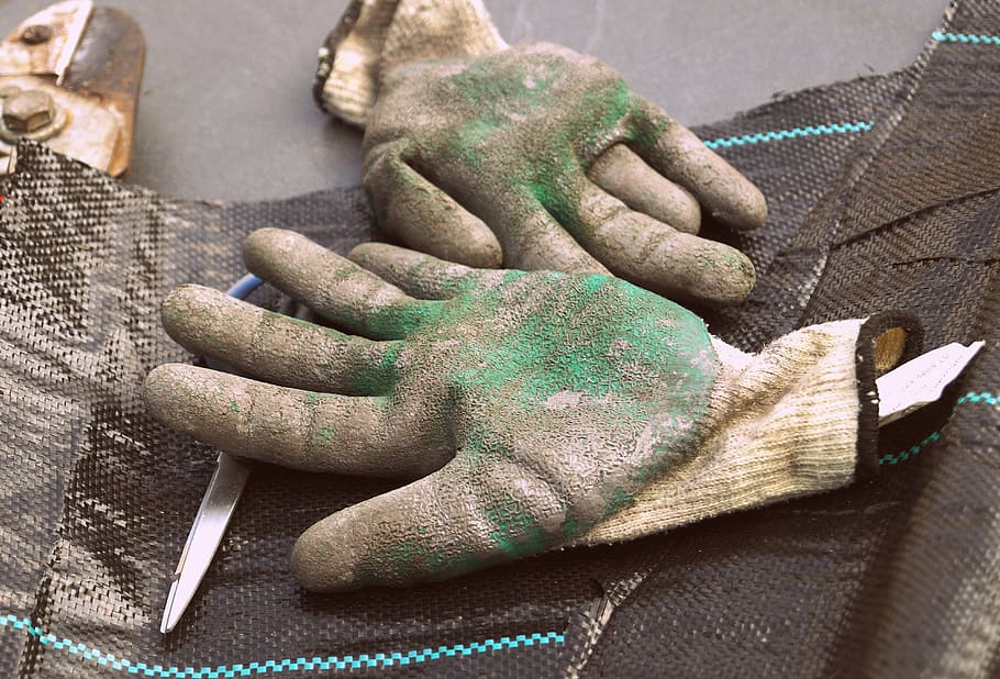pair, white, gloves, black, textile, work gloves, gardening, craft, cover, tool
