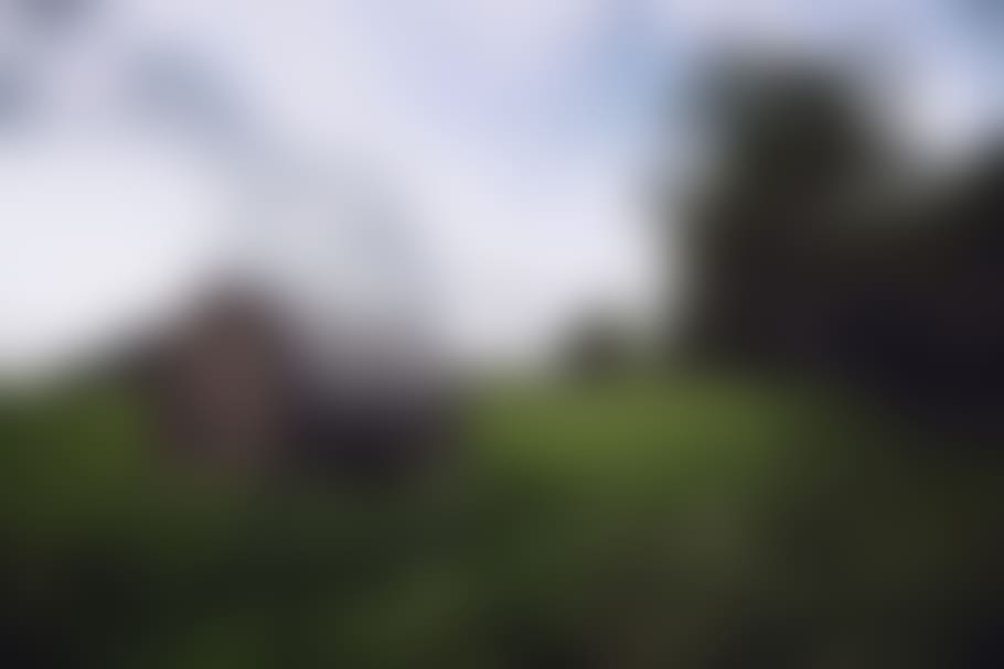background, blur, soft, blurry, field, nature, pasture, natural, meadow, defocused