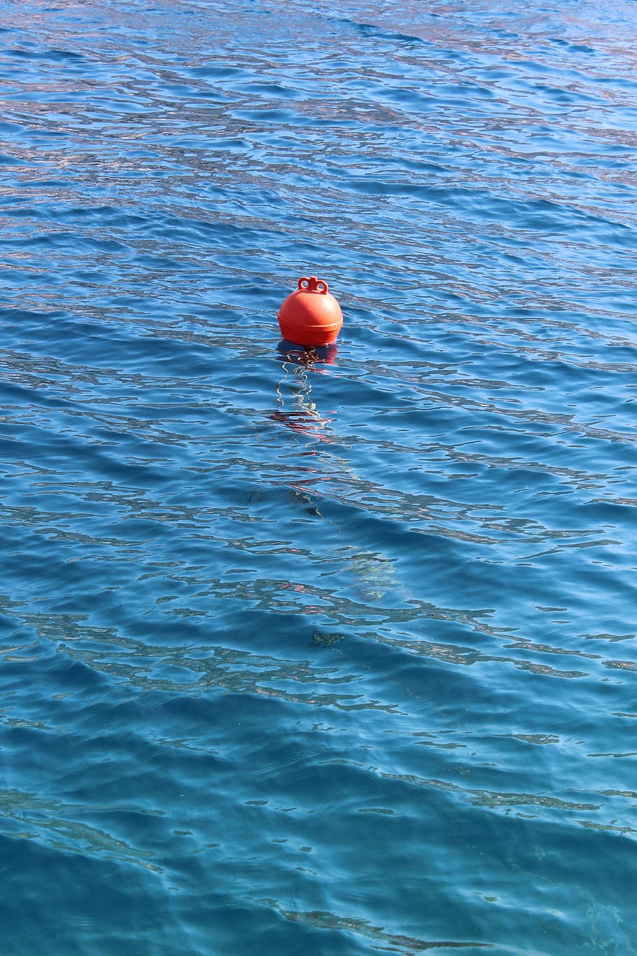 buoy, sea, water, ocean, marine, float, nautical, blue, lifebuoy, orange