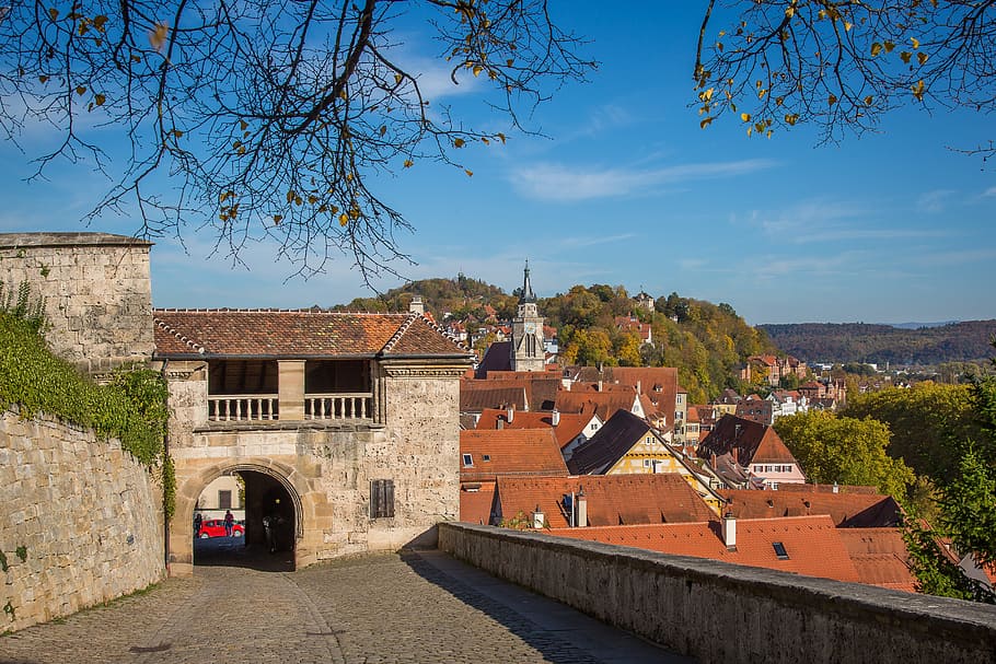 Tübingen, castillo hohentübingen, ciudad universitaria, sur de Alemania, casco antiguo, históricamente, arquitectura, estructura construida, exterior del edificio, árbol