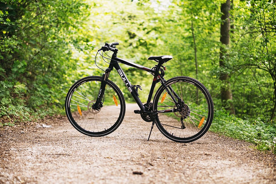 black, hardtail mountain bike, rural, road, bicycle, bike, forest, mountain bike, path, trees
